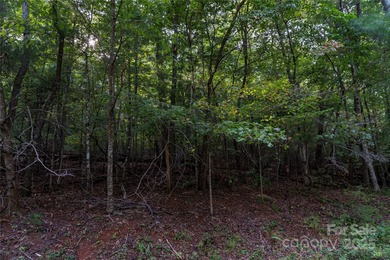 Gorgeous double lot totaling 1.59 acres, offered below tax value - photo 2