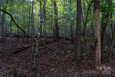 Gorgeous double lot totaling 1.59 acres, offered below tax value - photo 3