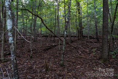 Gorgeous double lot totaling 1.59 acres, offered below tax value - photo 4