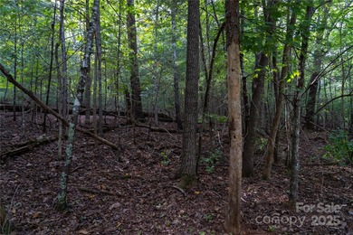 Gorgeous double lot totaling 1.59 acres, offered below tax value - photo 5