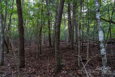 Gorgeous double lot totaling 1.59 acres, offered below tax value - photo 6