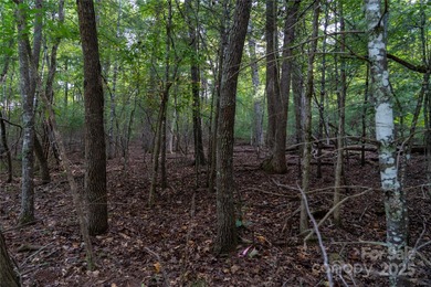 Gorgeous double lot totaling 1.59 acres, offered below tax value - photo 7