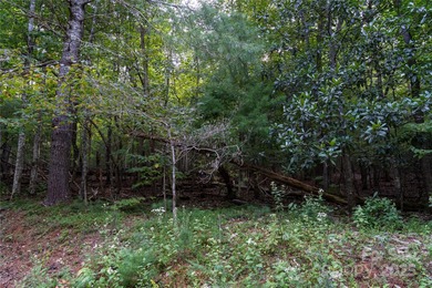 Gorgeous double lot totaling 1.59 acres, offered below tax value - photo 8