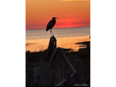 Located at 1860 Ezell Beach Rd in the heart of Keaton Beach - photo 13