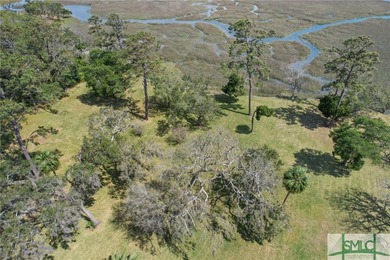 Discover the ultimate coastal retreat on Skidaway Island, GA - photo 6
