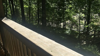 Experience ultimate lakefront living in this beautiful 4-bedroom - photo 42