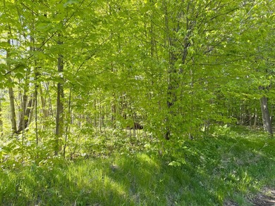 Appealing lot location for that up north MilleLacs area dreamed - photo 46