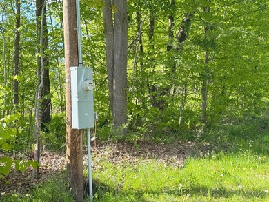 Appealing lot location for that up north MilleLacs area dreamed - photo 47
