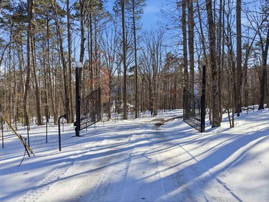 Looking for Seclusion on 10 acres w/STUNNING YEAR-ROUND views of - photo 8