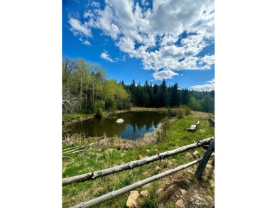 (private lake, pond, creek) Acreage For Sale in Anaconda Montana