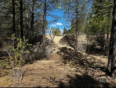 (private lake, pond, creek) Lot Sale Pending in Idaho City Idaho