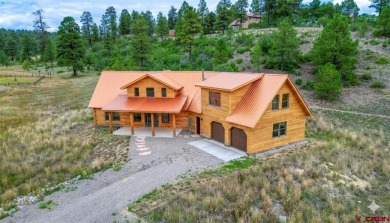 Hatcher Reservoir Home For Sale in Pagosa Springs Colorado