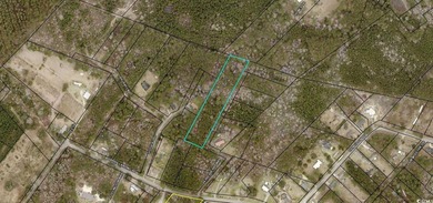 Lovely three acre parcel within minutes of boat landing - photo 1