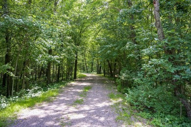 Escape to your own private Northwoods retreat! This 10.2-acre - photo 4