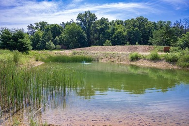 Escape to your own private Northwoods retreat! This 10.2-acre - photo 9