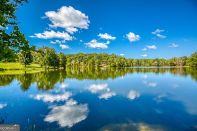 Welcome to Twin Lakes, a waterfowl paradise and premier hunting - photo 11