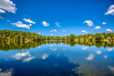 Welcome to Twin Lakes, a waterfowl paradise and premier hunting - photo 12