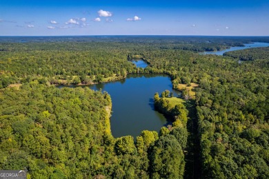 Welcome to Twin Lakes, a waterfowl paradise and premier hunting - photo 13