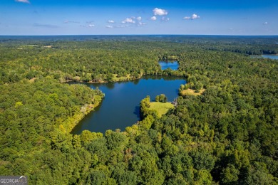 Welcome to Twin Lakes, a waterfowl paradise and premier hunting - photo 14