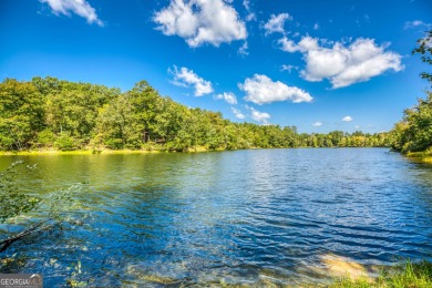 Welcome to Twin Lakes, a waterfowl paradise and premier hunting - photo 16