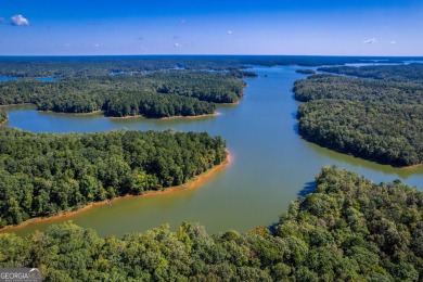Welcome to Twin Lakes, a waterfowl paradise and premier hunting - photo 18