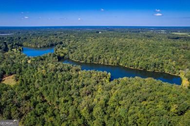 Welcome to Twin Lakes, a waterfowl paradise and premier hunting - photo 19