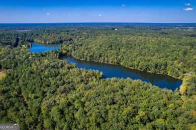 Welcome to Twin Lakes, a waterfowl paradise and premier hunting - photo 20