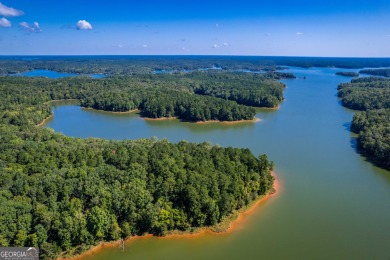 Welcome to Twin Lakes, a waterfowl paradise and premier hunting - photo 21