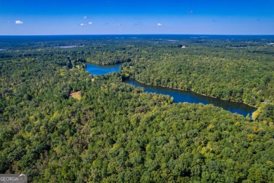 Welcome to Twin Lakes, a waterfowl paradise and premier hunting - photo 22