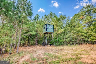 Welcome to Twin Lakes, a waterfowl paradise and premier hunting - photo 24