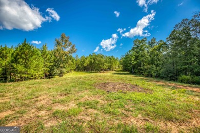 Welcome to Twin Lakes, a waterfowl paradise and premier hunting - photo 25