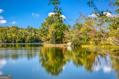 Welcome to Twin Lakes, a waterfowl paradise and premier hunting - photo 27