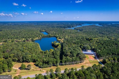 Welcome to Twin Lakes, a waterfowl paradise and premier hunting - photo 28
