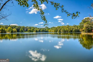 Welcome to Twin Lakes, a waterfowl paradise and premier hunting - photo 29