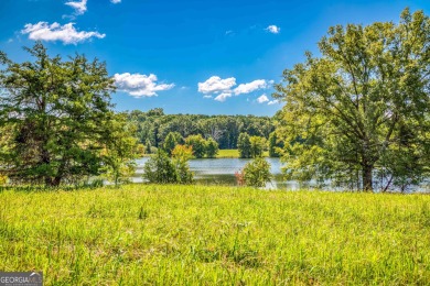 Welcome to Twin Lakes, a waterfowl paradise and premier hunting - photo 31