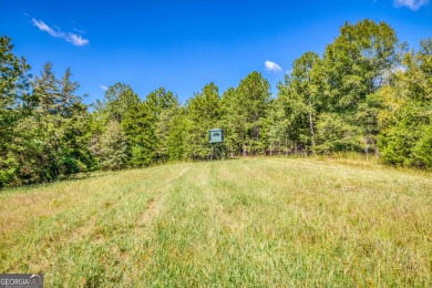 Welcome to Twin Lakes, a waterfowl paradise and premier hunting - photo 32