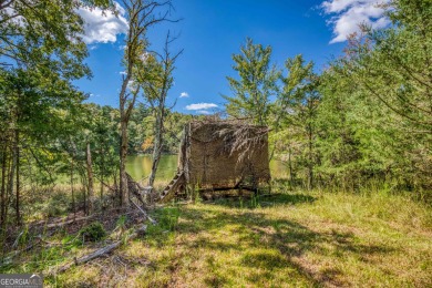 Welcome to Twin Lakes, a waterfowl paradise and premier hunting - photo 33