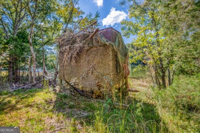 Welcome to Twin Lakes, a waterfowl paradise and premier hunting - photo 34