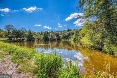 Welcome to Twin Lakes, a waterfowl paradise and premier hunting - photo 38