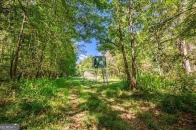 Welcome to Twin Lakes, a waterfowl paradise and premier hunting - photo 39