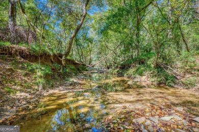Welcome to Twin Lakes, a waterfowl paradise and premier hunting - photo 40
