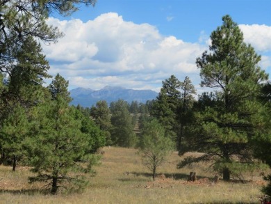 Hatcher Reservoir Lot For Sale in Pagosa Springs Colorado