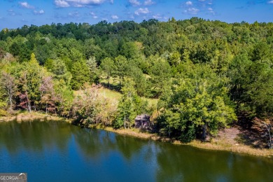 Welcome to Twin Lakes, a waterfowl paradise and premier hunting - photo 42