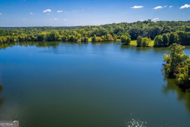 Welcome to Twin Lakes, a waterfowl paradise and premier hunting - photo 43