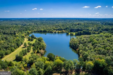 Welcome to Twin Lakes, a waterfowl paradise and premier hunting - photo 44