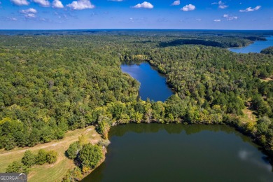 Welcome to Twin Lakes, a waterfowl paradise and premier hunting - photo 45