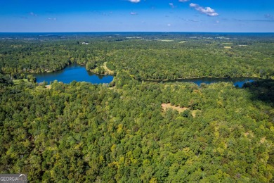 Welcome to Twin Lakes, a waterfowl paradise and premier hunting - photo 46