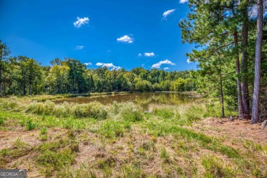 Welcome to Twin Lakes, a waterfowl paradise and premier hunting - photo 47
