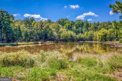 Welcome to Twin Lakes, a waterfowl paradise and premier hunting - photo 48