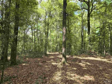 (private lake, pond, coastal) Acreage For Sale in Flomaton Alabama